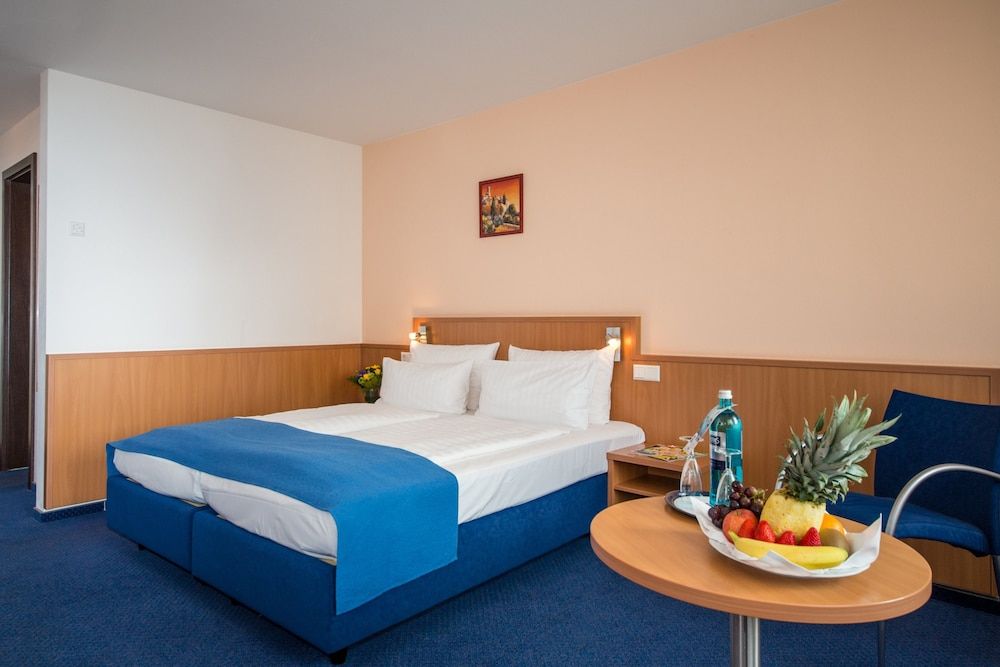 Hotel & Restaurant Goldener Pflug Standard Double Room