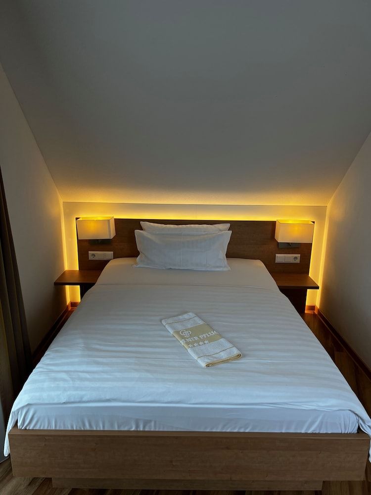 Hotel & Restaurant Goldener Pflug Comfort Single Room 2