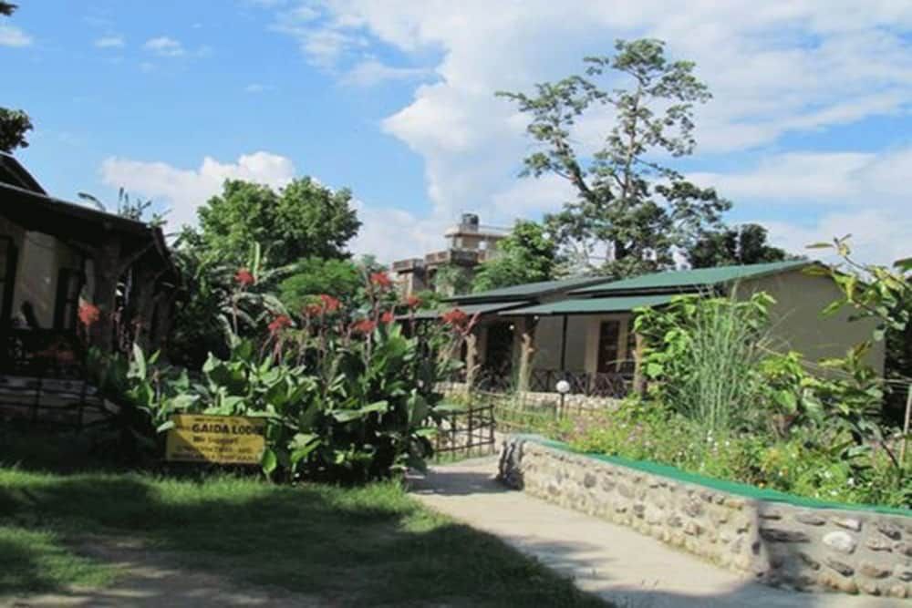 Primary Image