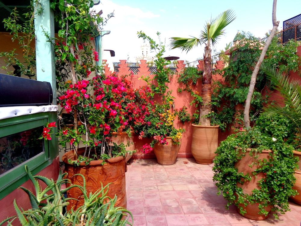 undefined Riad Sesame 2