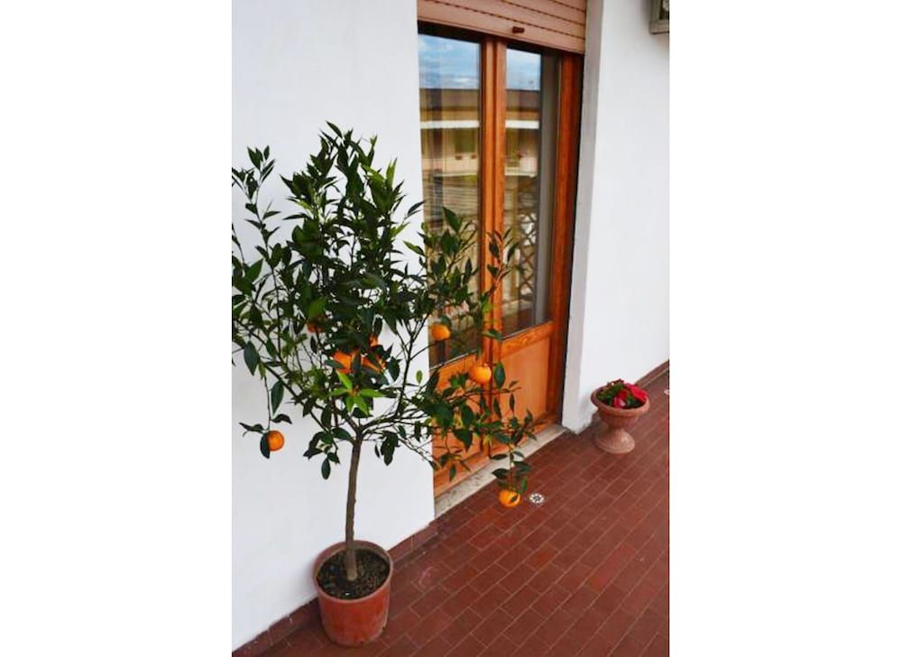 undefined Casa Celeste 2