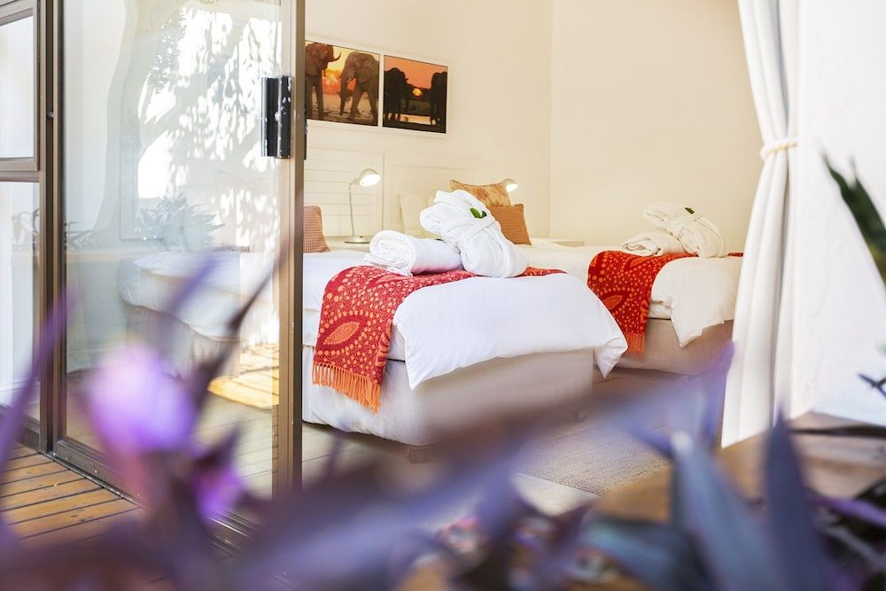 Sandals Guest House Standard Twin Room 3