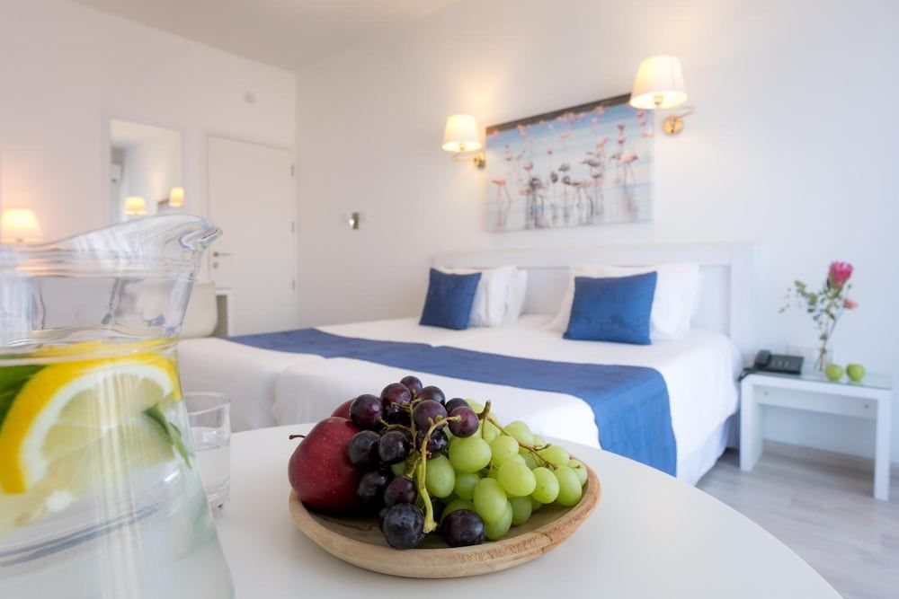 Mikes Kanarium Hotel Double or Twin Room 7