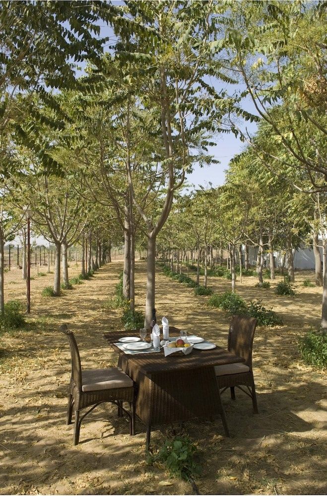 undefined The Greenhouse Resort 6