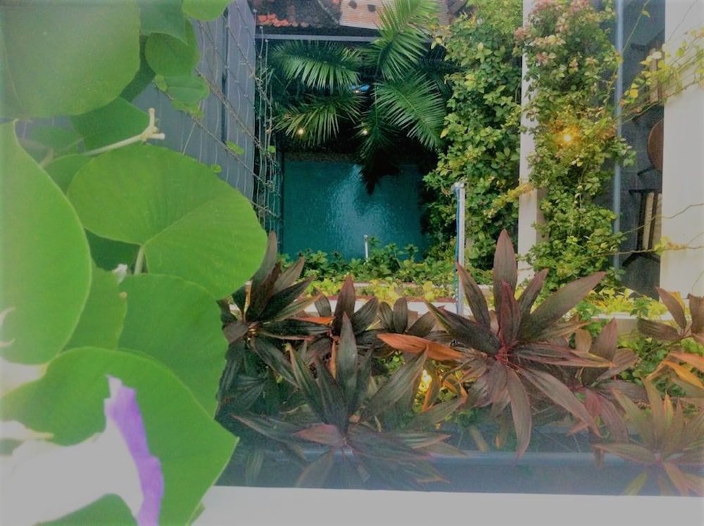 undefined Solitaire Damnak Villa Hotel 4