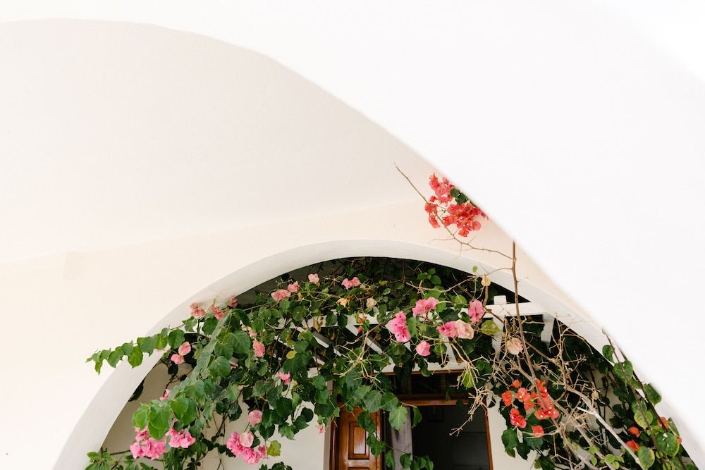 undefined Memento Perissa 3