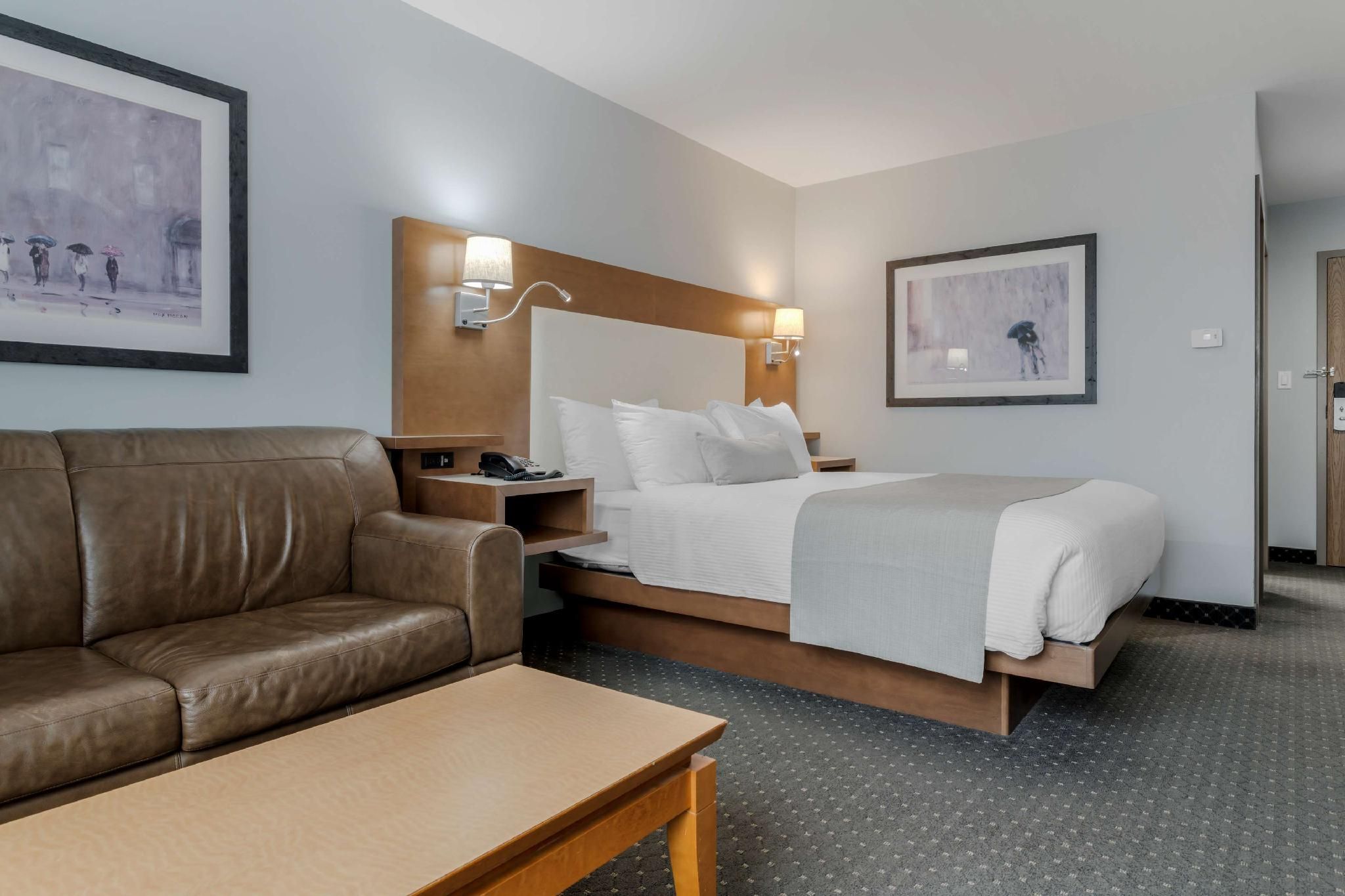 1 Queen Bed, Nonsmoking, Junior Suite, Sofabed