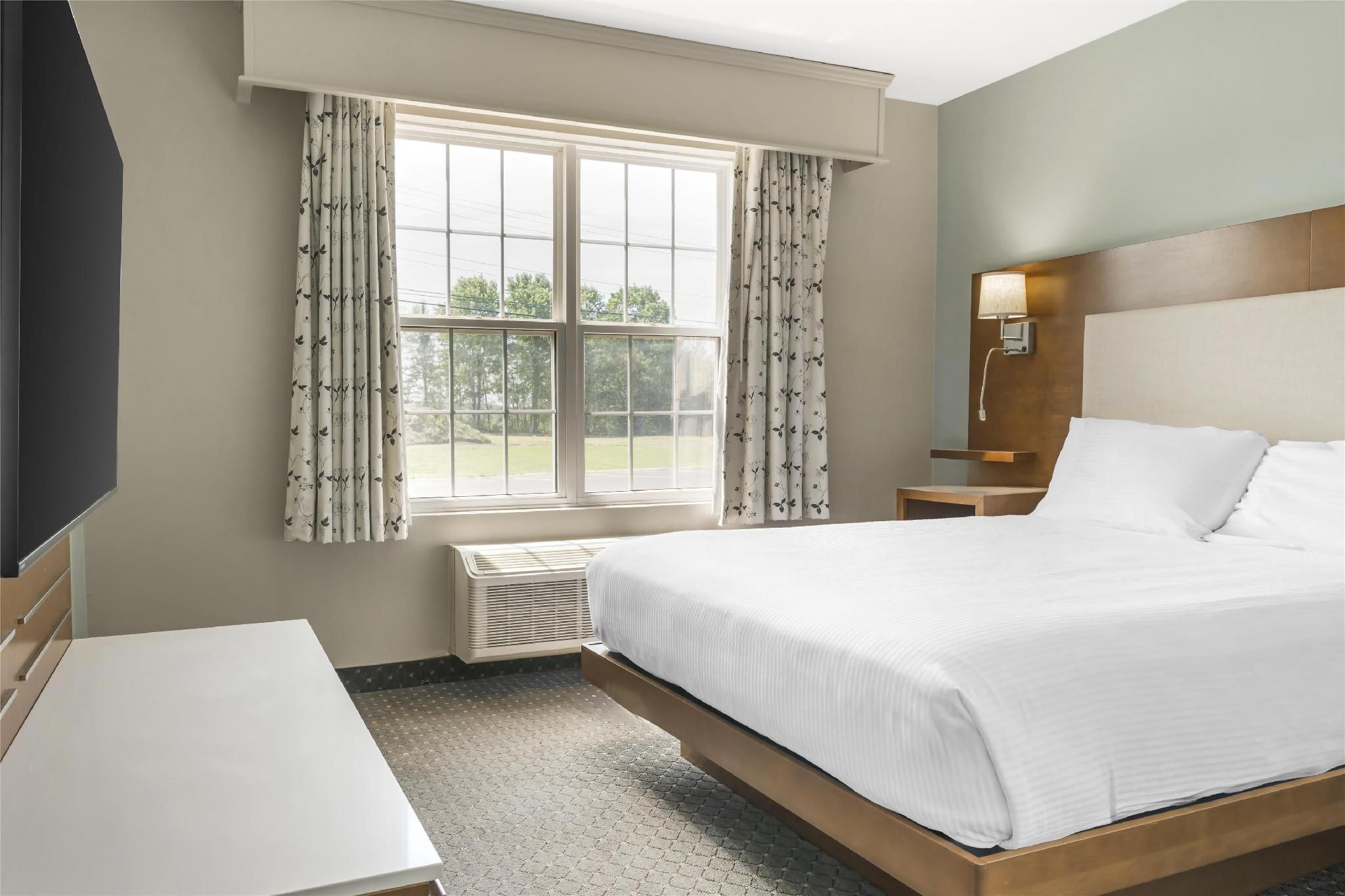 1 Queen Bed, Nonsmoking, Junior Suite, Sofabed
