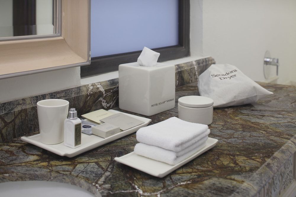 Hotel Solar de las Animas Superior Double Room 4