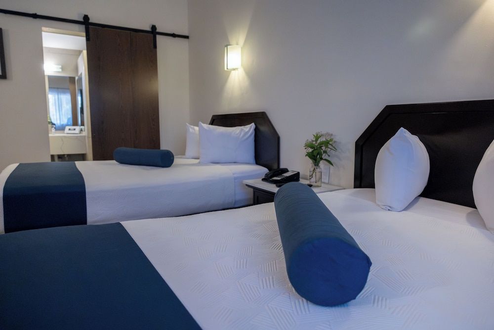 Hotel del Rio Standard Double Room 10