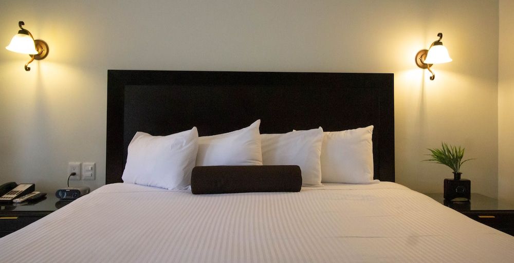 Hotel del Rio Executive Room 3