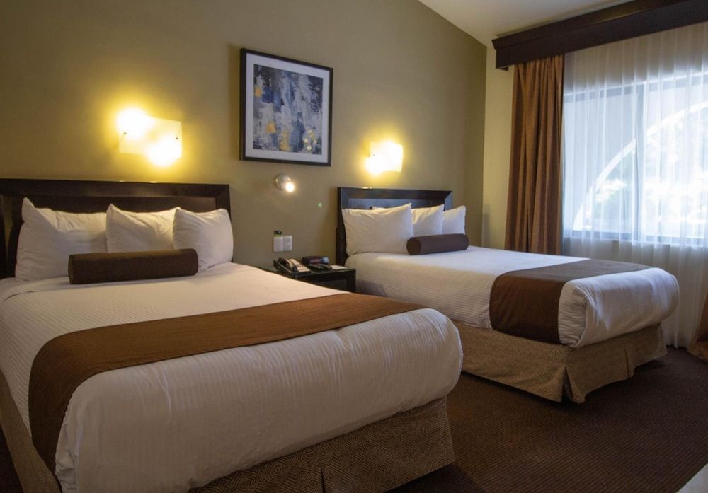 Hotel del Rio Standard Double Room 3