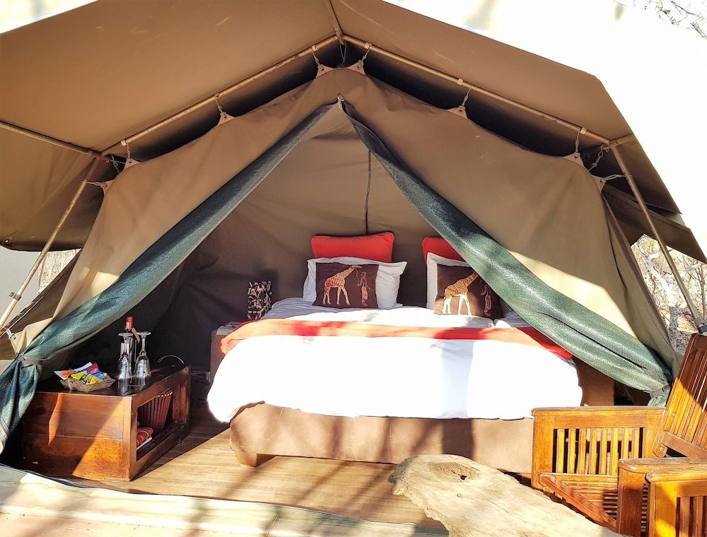 Tent (Civet Safari)