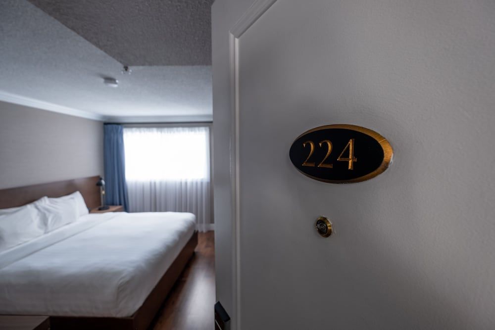 King Designer Suite