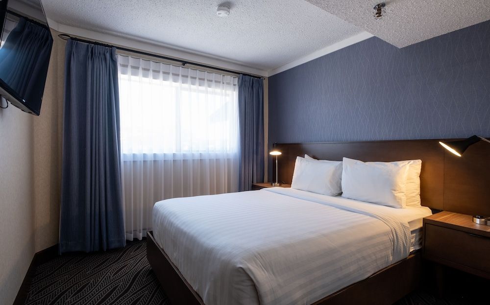 One Bedroom Suite