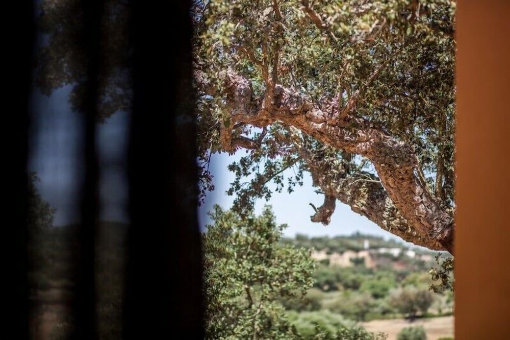 Monte da Esperança House 3