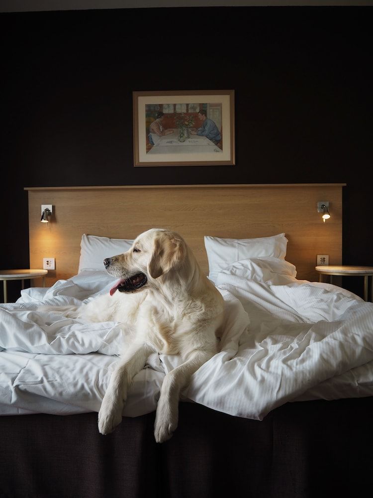 Skara Konsthotell Standard Quadruple Room