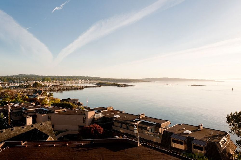 One Bedroom Suite, Ocean View, King