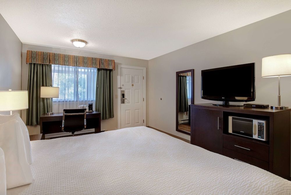 Room, 1 King Bed, Non Smoking
