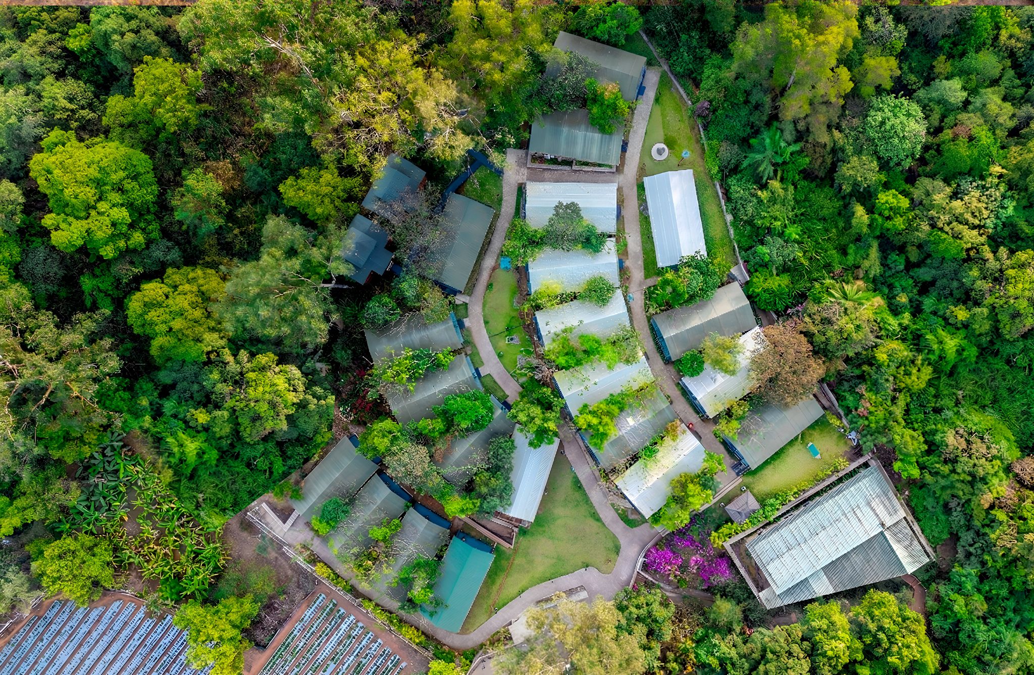 undefined Orchid Hotel Panchgani 7