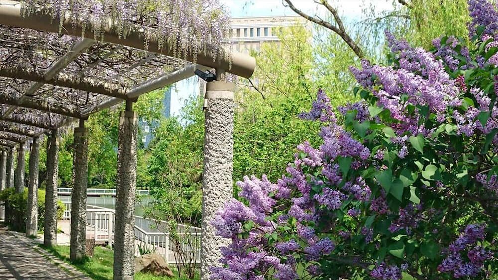 City view from property