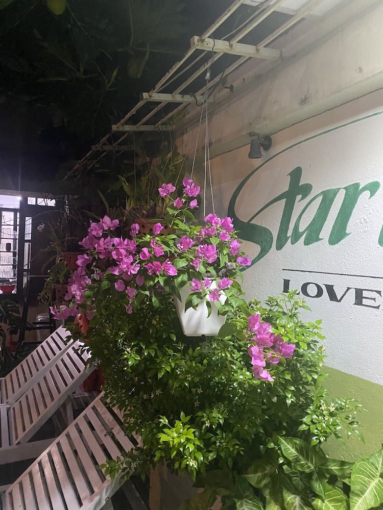 undefined Starfruit Villa Hoi An 8