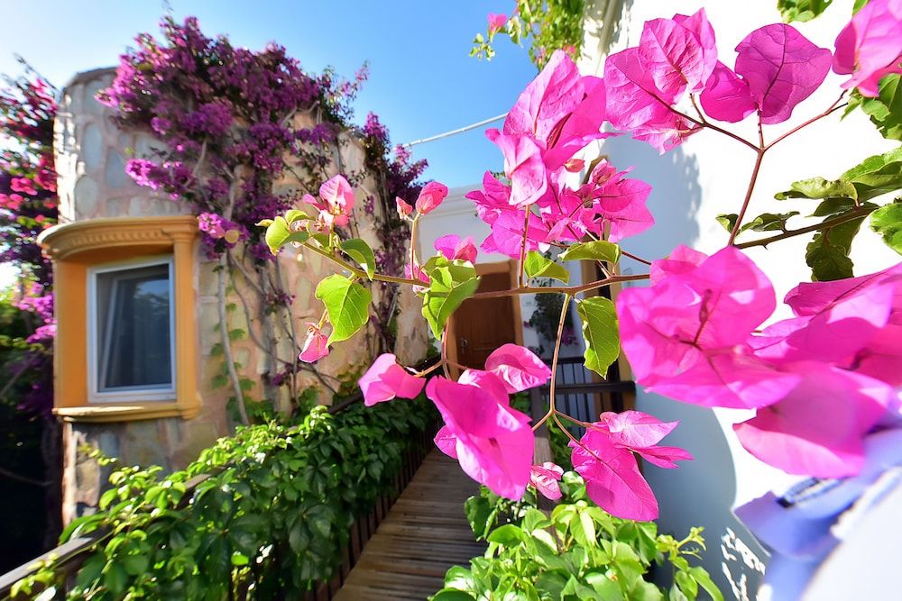 undefined Tropicana Beach Hotel 7