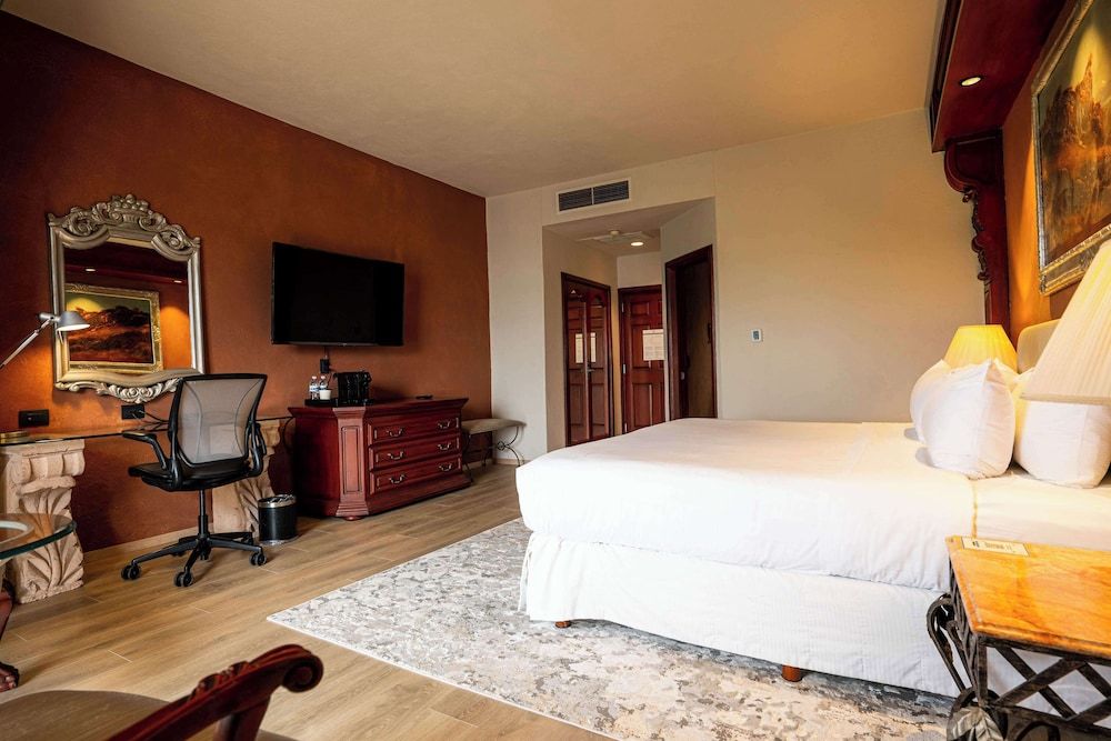 Room, 1 King Bed