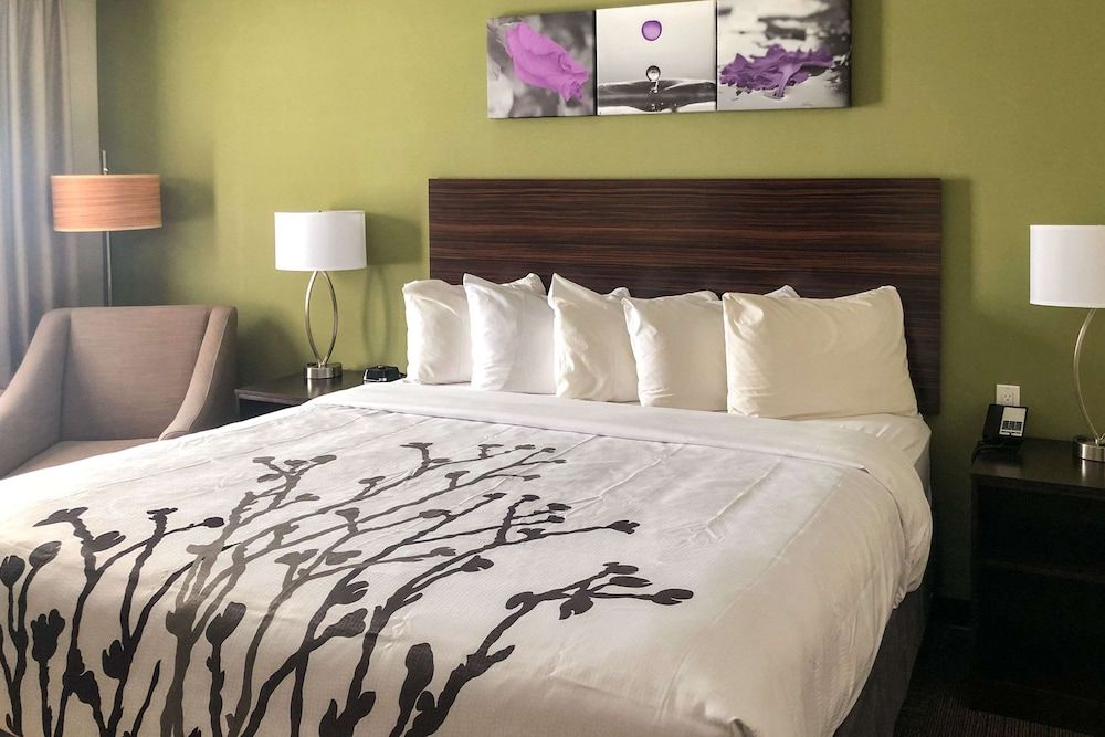 Room, 1 King Bed, Non Smoking