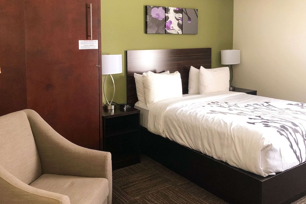 Standard Room, 1 Queen Bed, Non Smoking