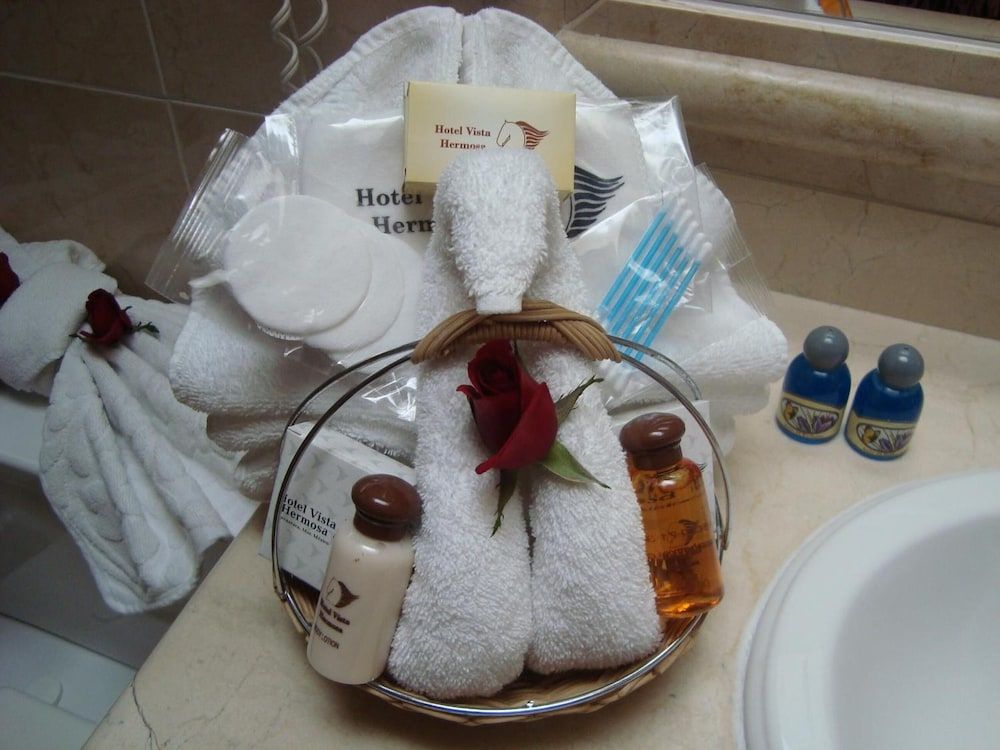 Hotel Vista Hermosa Suite, 1 King Bed 11