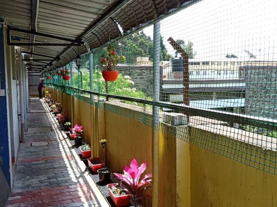 undefined Hotel Spring Valley 9