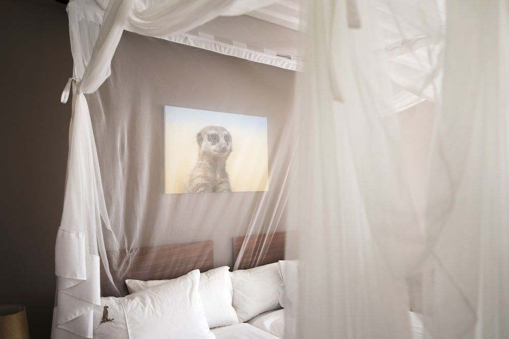 Dornhügel Guestfarm Standard Room 2