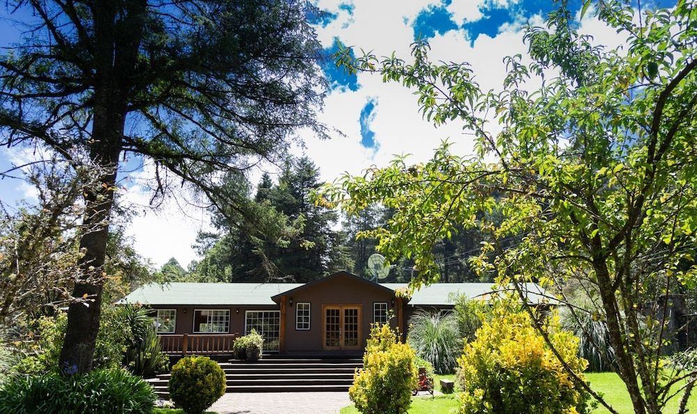 Rancho Viejo