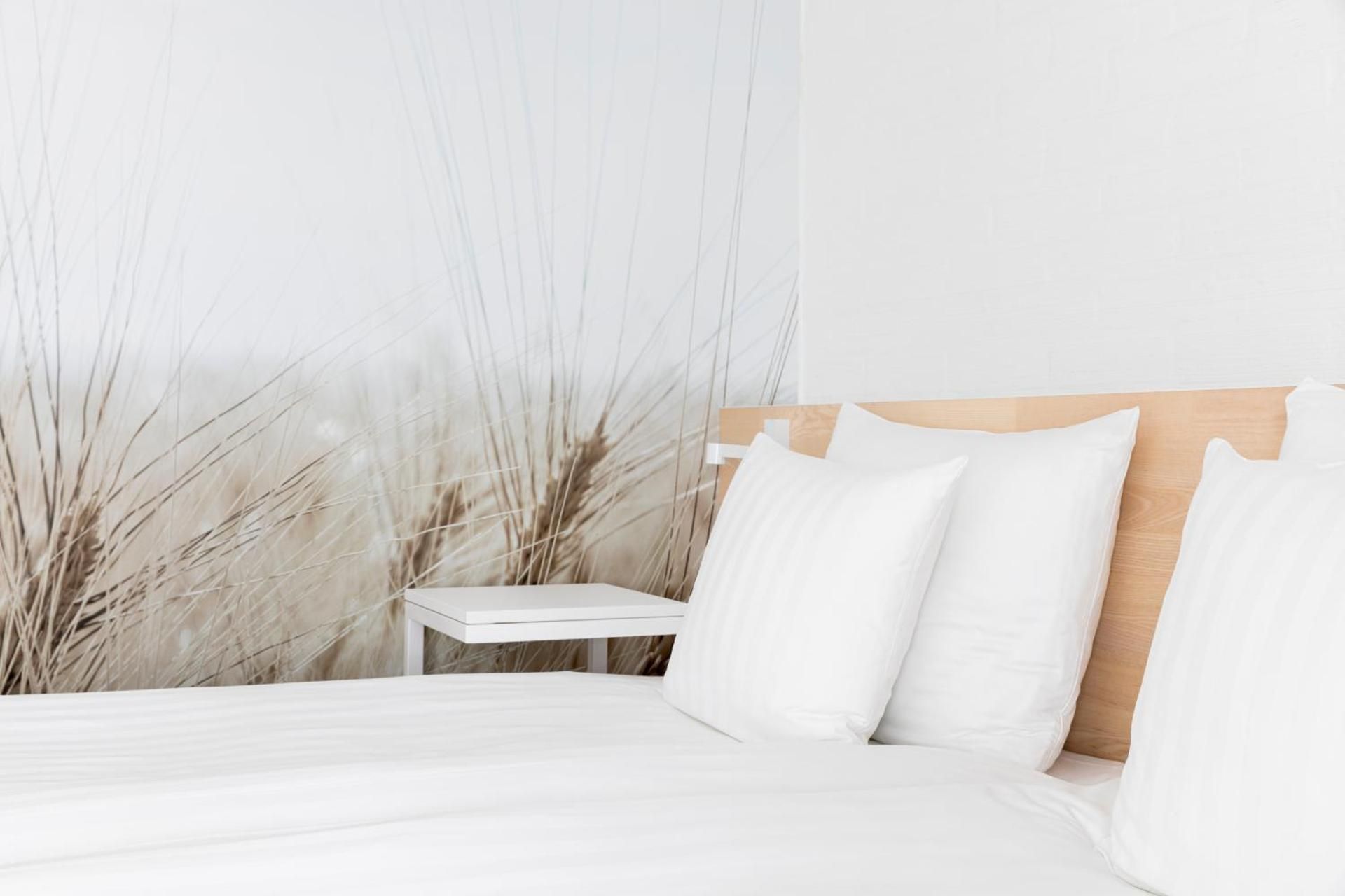 Standard Twin Room with Extra Bed
