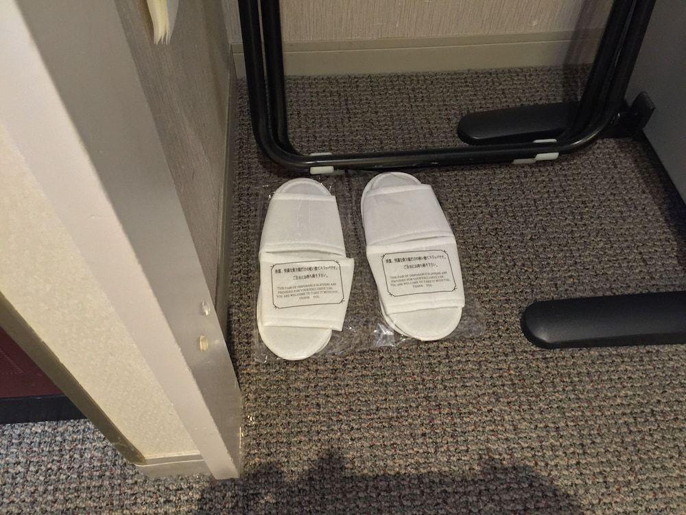 Tokyo Dai-ichi Hotel Nishiki Double Room, 1 Queen Bed, Non Smoking 3