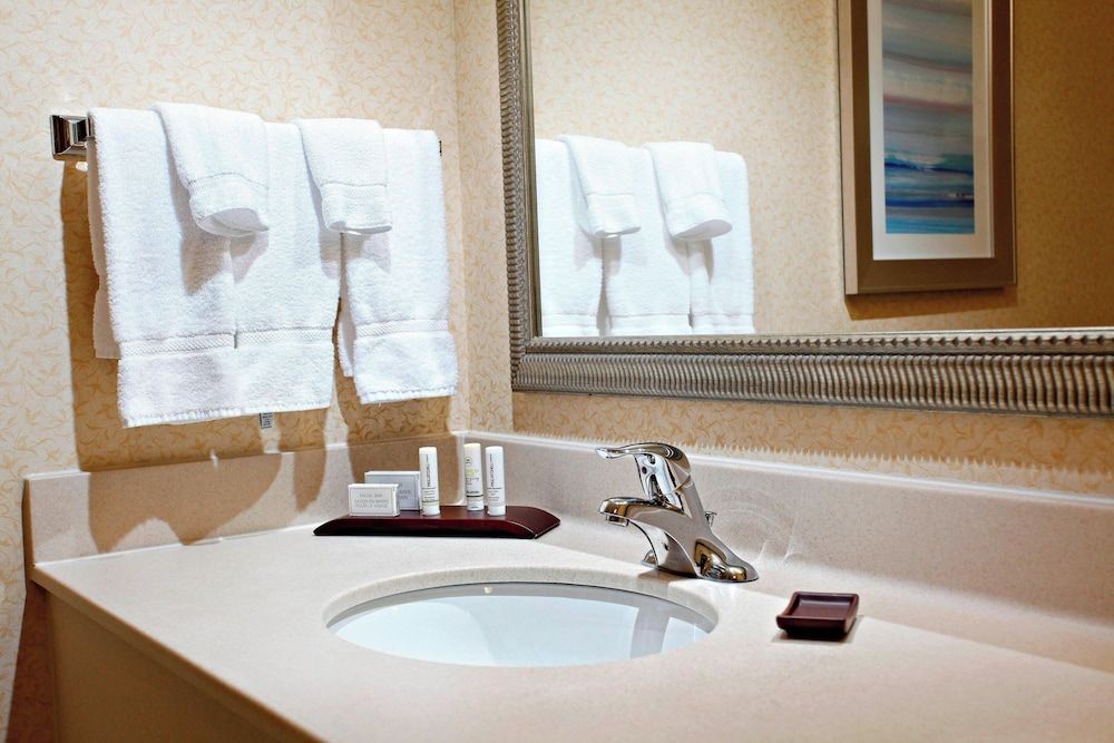 Executive Suite, 1 King Bed with Sofa bed