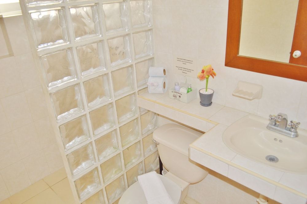 Hotel Arrecifes Suites Deluxe Studio, 1 King Bed, Kitchenette 9