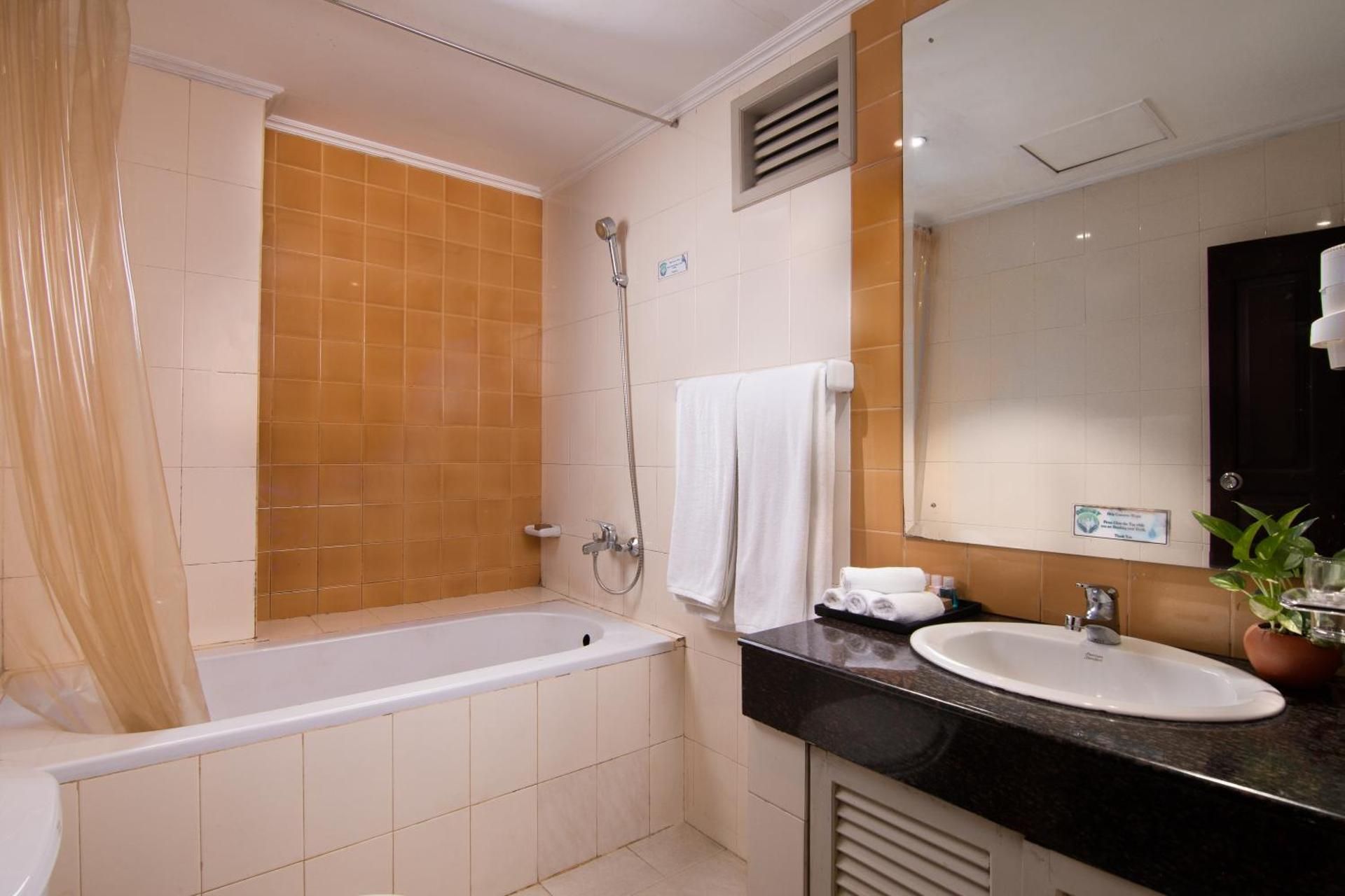 Deluxe Double or Twin Room with City View