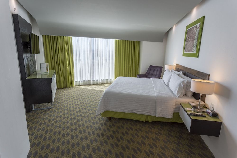 Suite, 1 King Bed