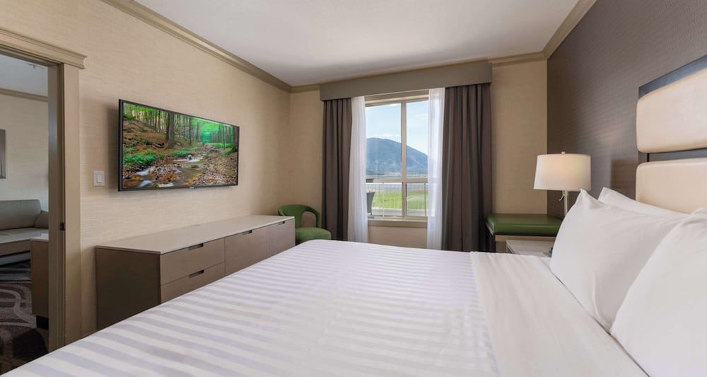 Suite, Multiple Beds, Kitchen, Lake View (Living Room;with Sofabed)