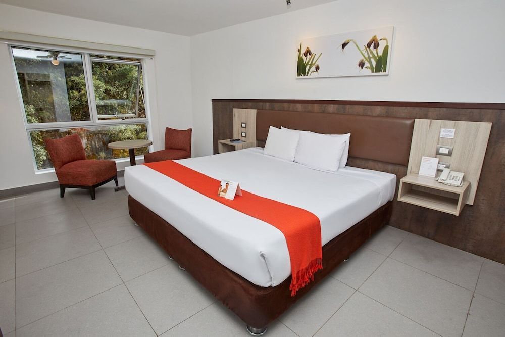 Junior Room, 1 King Bed
