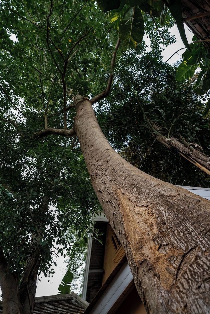 undefined My Dream Boutique Resort 7