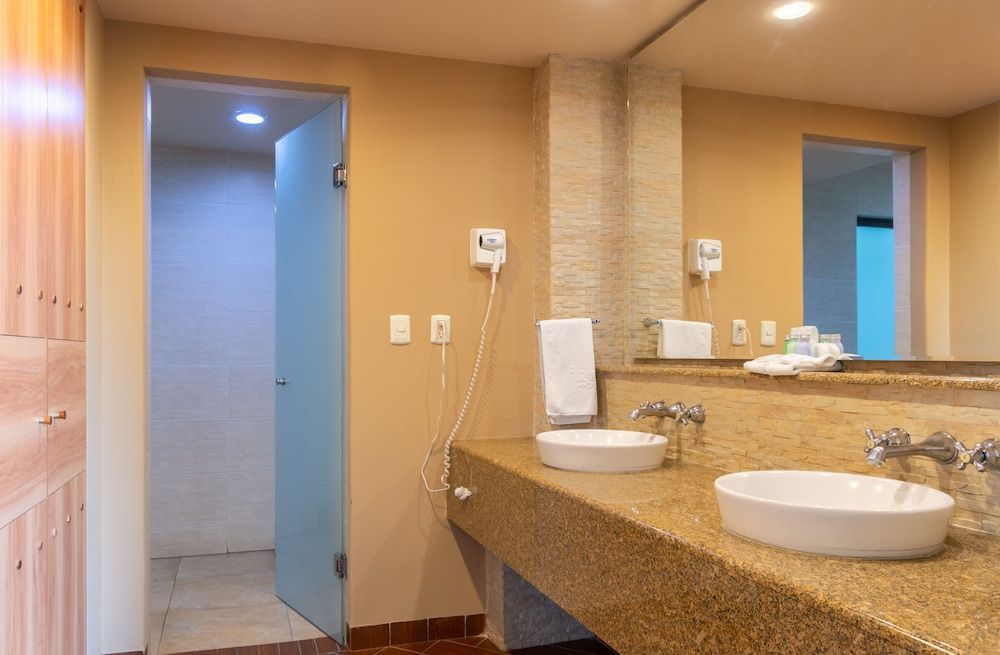 Hotel Flamingo Inn Premium Room, 1 King Bed 6