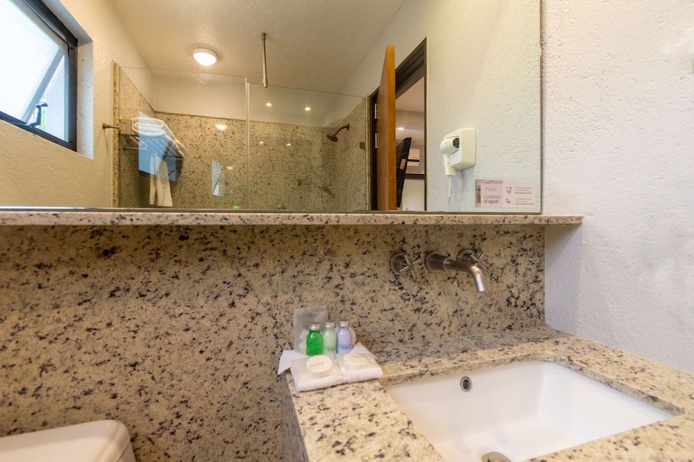 Hotel Flamingo Inn Traditional Room, 1 King Bed 12