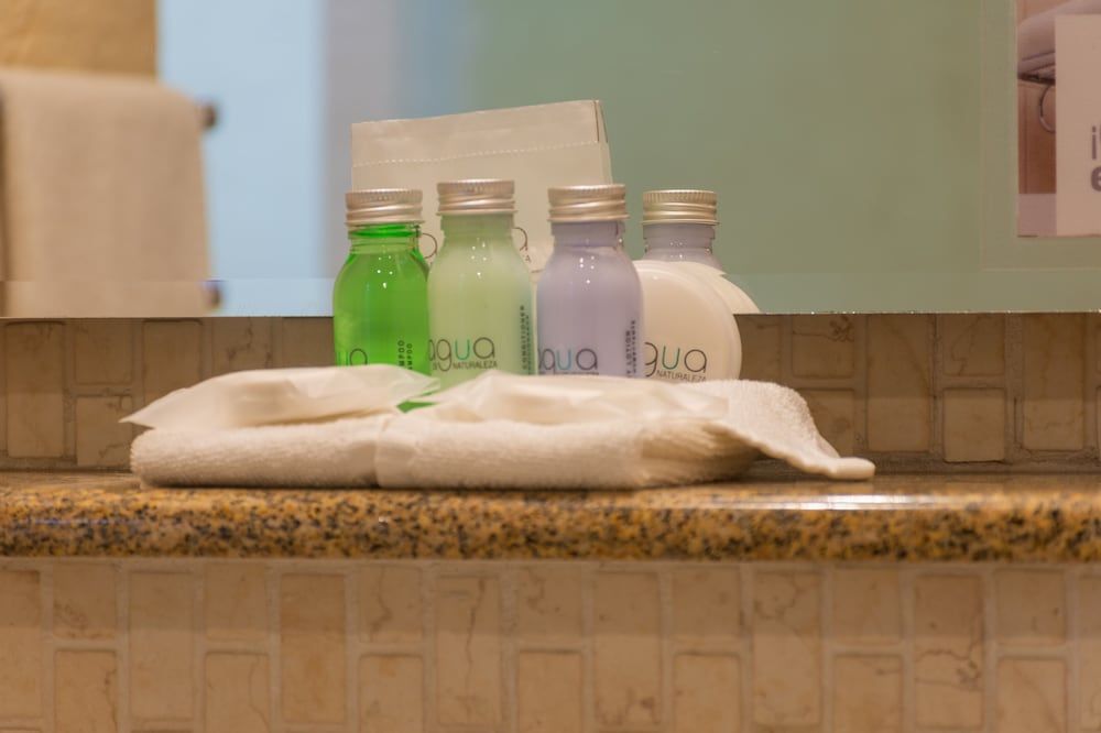 Hotel Flamingo Inn Traditional Room, 1 King Bed 8