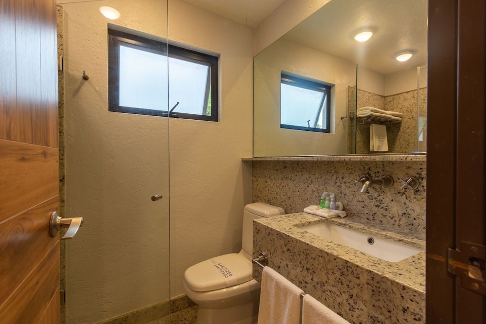 Hotel Flamingo Inn Traditional Room, 1 King Bed 9