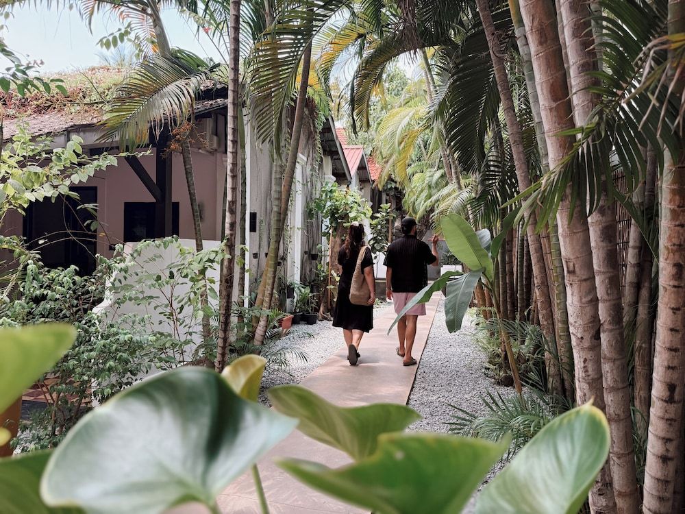 undefined Maison 557 5