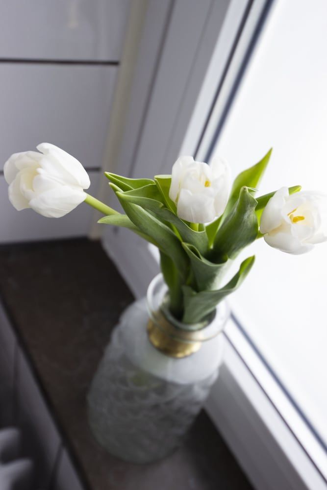 Hotell Hjalmar Double Room 19