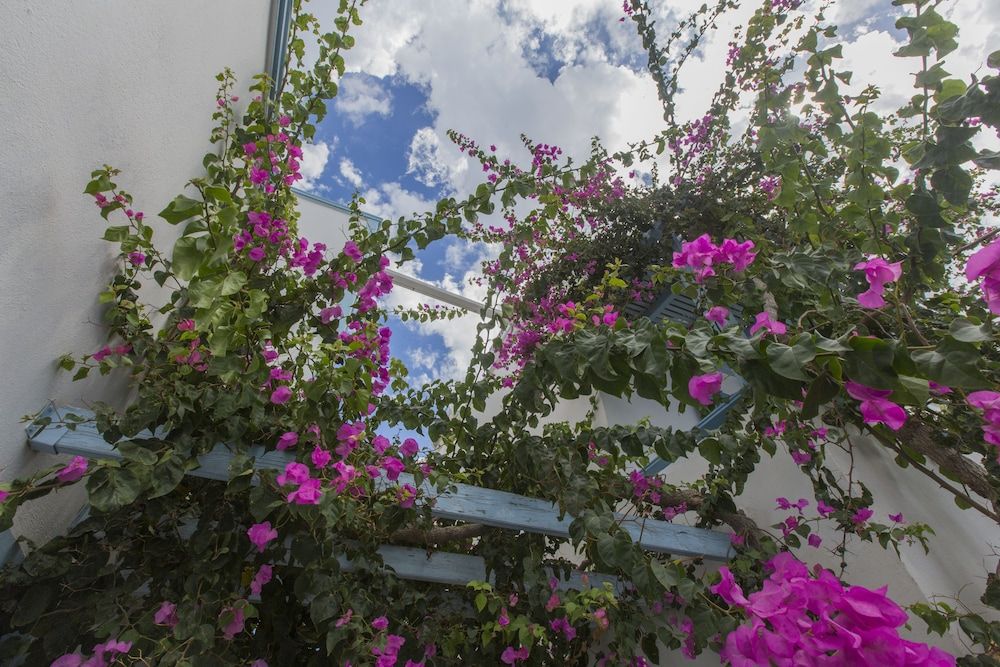 undefined Preka Maria Hotel 8